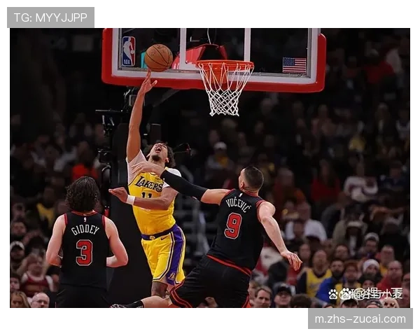 海斯缺席对湖人内线轮换深远影响的分析 海斯缺席对湖人内线轮换深远影响的分析